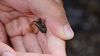 camp28 (461)_thumb.png